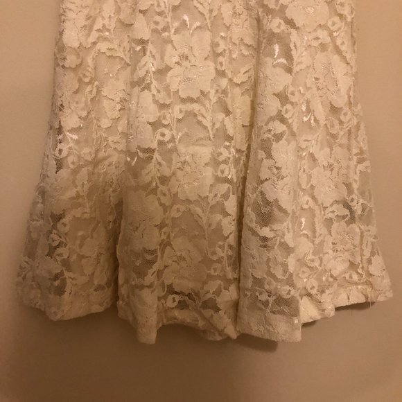 Aritzia Dillema Lace Skater Dress - Picture 15 of 16